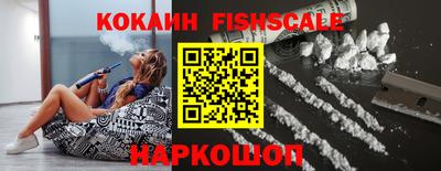 крисы Партизанск