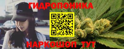 крисы Партизанск