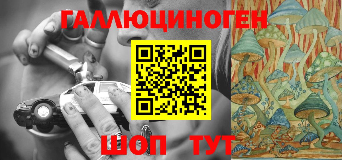 Галлюциногенные грибы мухоморы Пугачёв