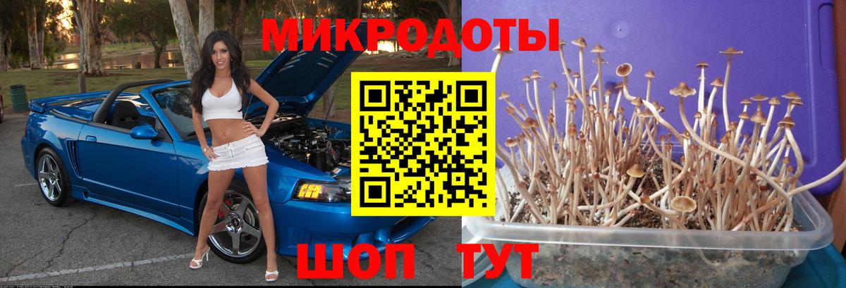 Псилоцибиновые грибы мухоморы  Вход с VPN  Пугачёв 